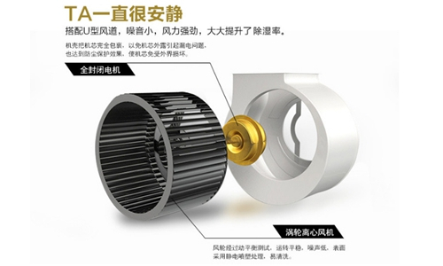 正鑲白旗梅雨天太潮如何除濕？安裝空氣抽濕機