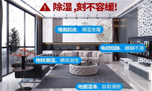 玉米庫(kù)裝置防潮用除濕機(jī)的重要性