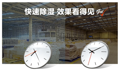 蟑螂鉆進除濕機里面怎么辦