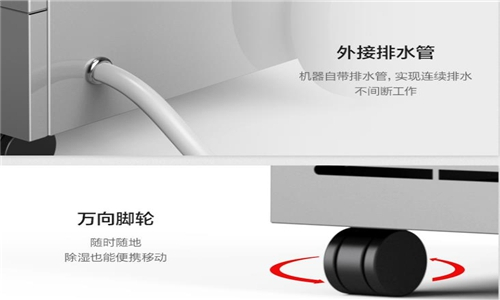 使用除濕機(jī)進(jìn)行魷魚干燥的重要性