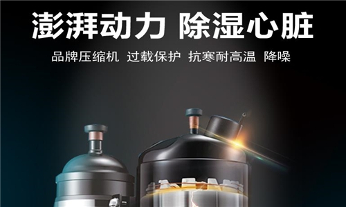 工業(yè)除濕機(jī)對(duì)2-8度冷庫的重要性